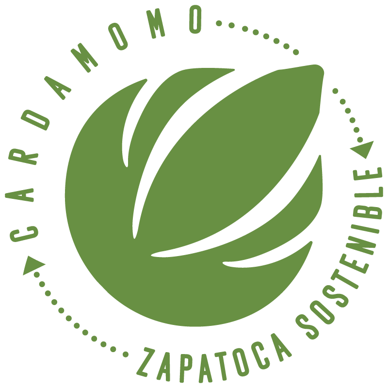 Cardamomo